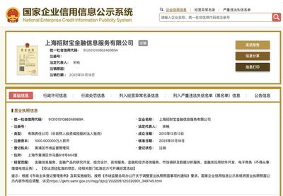 螞蟻集團(tuán)旗下招財(cái)寶公司完成注銷(xiāo)，上海企業(yè)技術(shù)咨詢(xún)服務(wù)轉(zhuǎn)型引關(guān)注